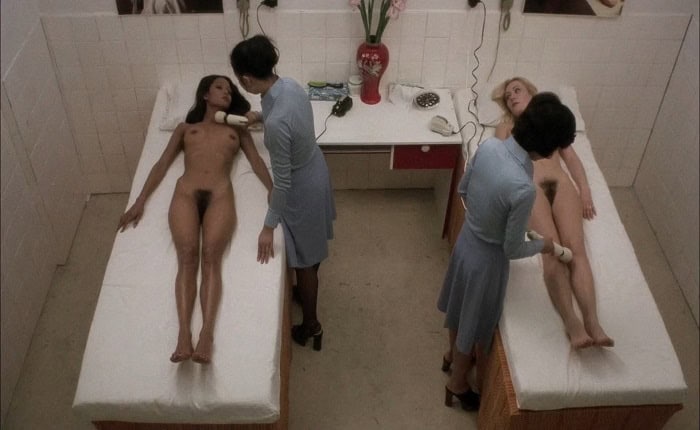 Laura Gemser, Michele Starck, etc nude in Black Cobra (Eva nera, 1976)