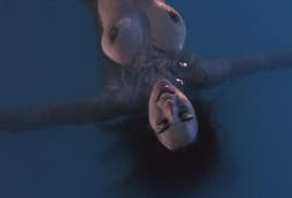 Frances Raines nude – The Mutilator (1984)
